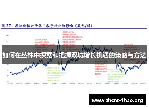 如何在丛林中探索和把握双城增长机遇的策略与方法