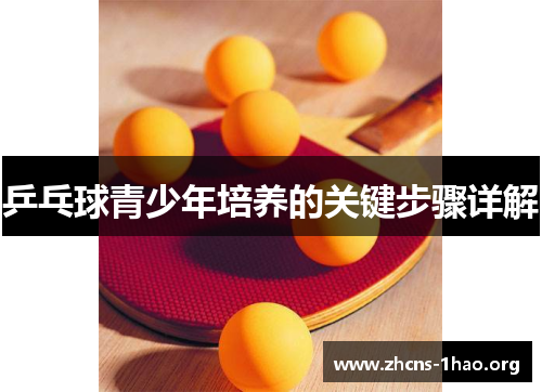 乒乓球青少年培养的关键步骤详解