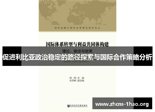 促进利比亚政治稳定的路径探索与国际合作策略分析