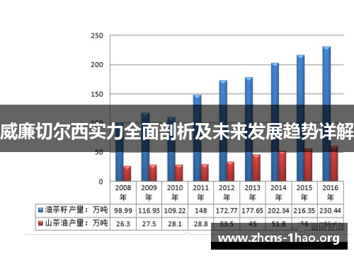 威廉切尔西实力全面剖析及未来发展趋势详解