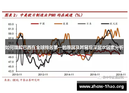 如何理解巴西在全球排名第一的原因及其背后深层次因素分析