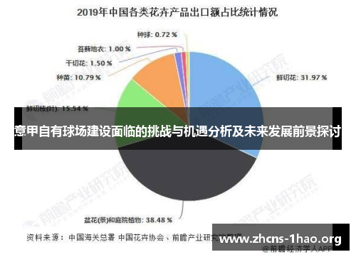 意甲自有球场建设面临的挑战与机遇分析及未来发展前景探讨 意甲自有球场建设面临的挑战与机遇分析及未来发展前景探讨