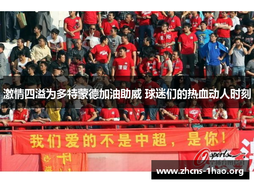 激情四溢为多特蒙德加油助威 球迷们的热血动人时刻
