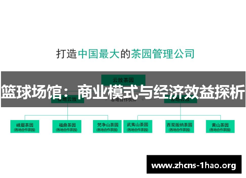 篮球场馆：商业模式与经济效益探析